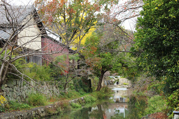 近江八幡の水郷の風景