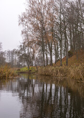 Fototapeta na wymiar autumn landscape gray and cloudy day, river bank with bare trees and bushes, bank reflection in river water