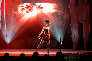 Aerialist perform live in the show.