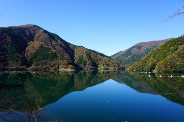 Naklejka na ściany i meble 丹沢湖の湖面に映る秋の山