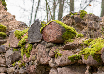 old stones overgrown with moss and lichens, stone wall from old castle ruins, autumn in the park