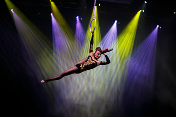 Aerialist perform live in the show.