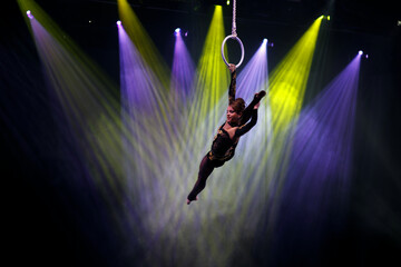 Aerialist perform live in the show.