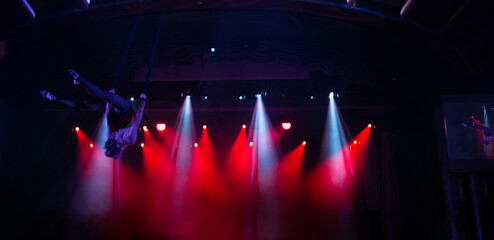 Aerialist perform live in the show.