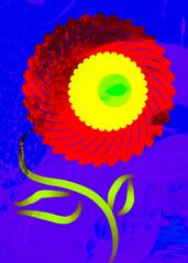 multicolored flower on a blue background