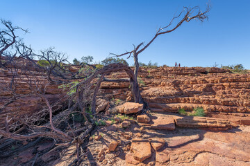 The remote dry landscape in Kings Canyon, Northern Territory, Australia