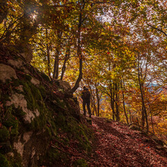 Trekking surrounded by the foliage in Friuli-Venezia Giulia