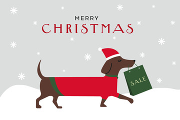the dog carries Christmas gifts in its teeth. dachshund. Christmas discounts. vector flat illustration