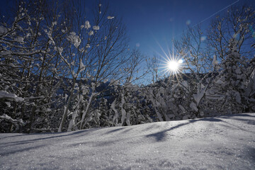 Winterlandschaft