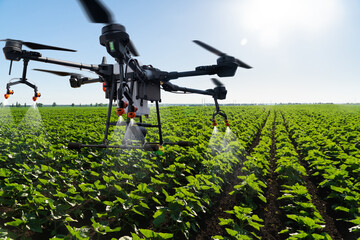 Drone sprayer flies over the agricultural field. Smart farming and precision agriculture - obrazy, fototapety, plakaty