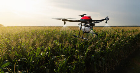 Drone sprayer flies over the agricultural field. Smart farming and precision agriculture - obrazy, fototapety, plakaty
