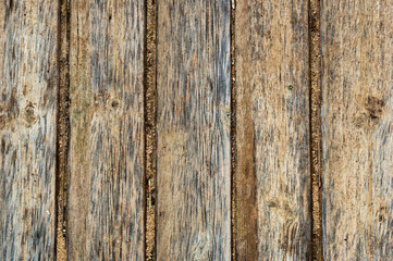 Cracked wood Board Texture closeup