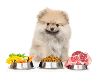 Pomeranian spitz sits with varied food for pets. isolated on white background