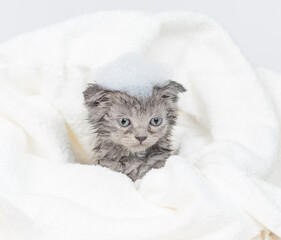Wet kitten wrapped in white towel with soap foam on his head after bath