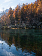 Fototapeta premium autumn trees reflected in water