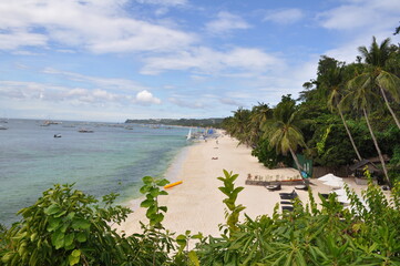 beach with palm trees