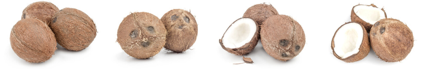 Collection of coconut isolated on a white background
