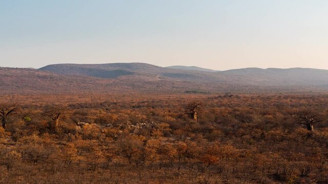 Static wide scenic timelapse of bushveld rocky mountain landscape, hazy late afternoon in dry season, long shadows dip to black with scattered African Baobab trees (Adansonia digitata), Nwanedi, Limpo