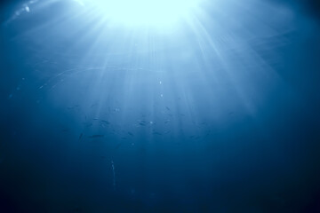 Fototapeta na wymiar rays of light under water, abstract marine background nature landscape rays blurred