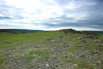 landscape tundra / summer landscape in the north tundra, moss, ecosystem