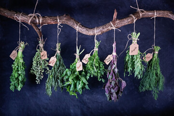 Hanging bunches of edible herbs with signed tags on a curved wooden crossbar, closeup on black...