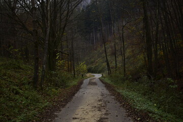 Obraz premium Mysterious path in the forest leading to Dragon Wattrefalls. 