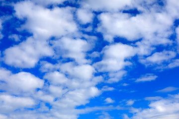 Naklejka na ściany i meble White clouds are on a clear blue sky