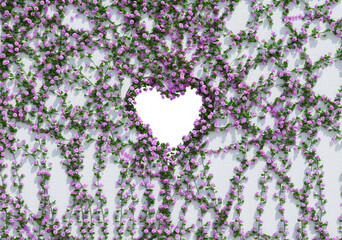 3d Render Ivy Plants Isolated  on white