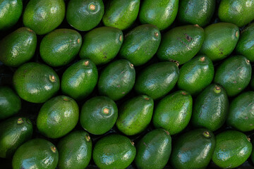 Fresh Raw Avocado Fruits Photography, top view, fruits background