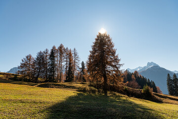 Fototapeta premium Auf der Spitze