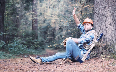 Male lumberjack in the forest. A professional woodcutter inspects trees for felling.