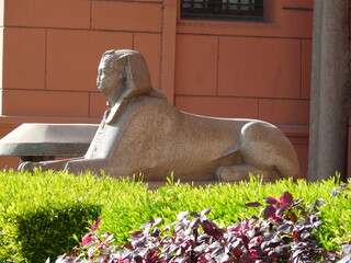 Cairo museum