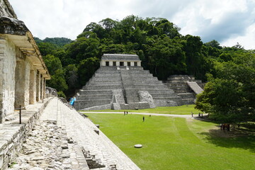 palenque, mexico, forest, messico, chiapas, nature, , environment, traveling, landscape, temples, pyramid, maya, ancient, buildings, tree