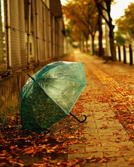 blue umbrella on pedestrian in autumn season