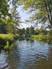 Obraz premium Im Spreewald