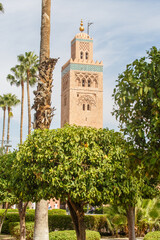 Fototapeta premium Marokko, koningssteden, marrakesh, Djemaa el Fna, 