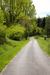Small road in rural Germany surrounded by green trees on a bright spring day near Potzbach, Germany.