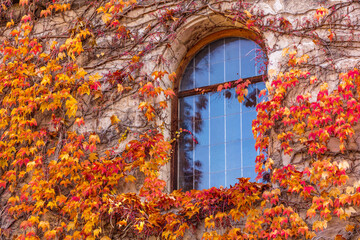 Herbst & Fenster