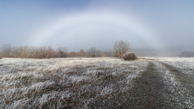 Arco iris, en paisaje de niebla con fuga al horizonte, campo helado y árboles congelados por el frío de invierno. Fogbow.