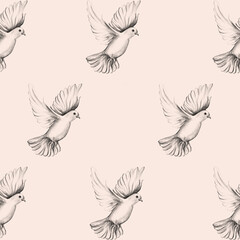 Peace bird, dove, art, water color drawing	