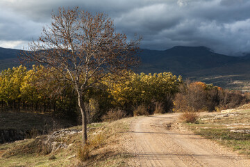 Fototapeta na wymiar Paisaje, bosques y lagos de Rascafría en la sierra de Madrid