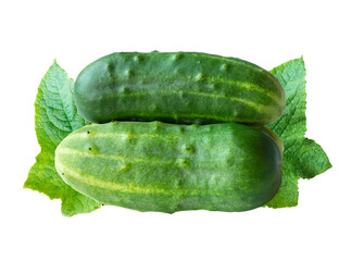 Cucumbers with foliage isolated on white. Natural vegetarian food