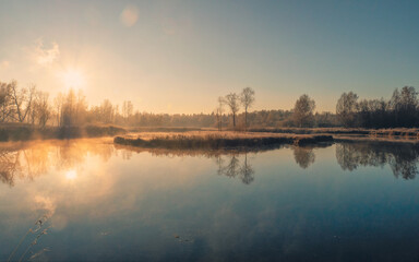 Naklejka na ściany i meble Sunny frosty morning on a foggy swamp. Soft focus.