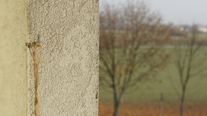 SONY DSC