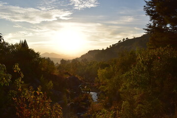 Atardecer en bosque de México