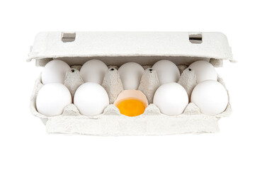 White chicken eggs in a paper carton. One half of an eggshell contains a yolk. Close-up shot, isolated on white.