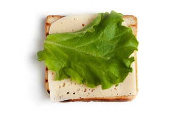 A slice of toasted bread , a slice of cheese, and a lettuce leaf