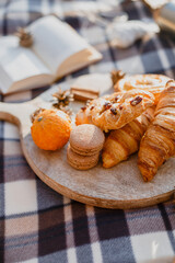
Beautiful autumn picnic with cinnamon buns, macarons and hot tea on a plaid blanket on a warm sunny day