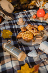 
Beautiful autumn picnic with cinnamon buns, macarons and hot tea on a plaid blanket on a warm sunny day
