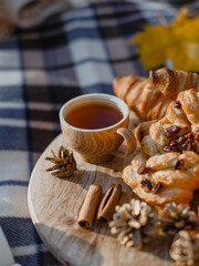 
Beautiful autumn picnic with cinnamon buns, macarons and hot tea on a plaid blanket on a warm sunny day